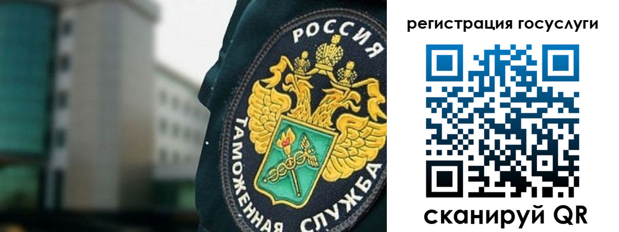 найти адрес прописки в Дмитрове